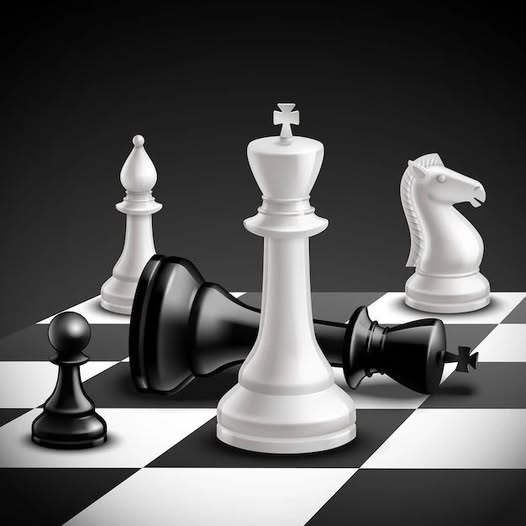 Adult Chess